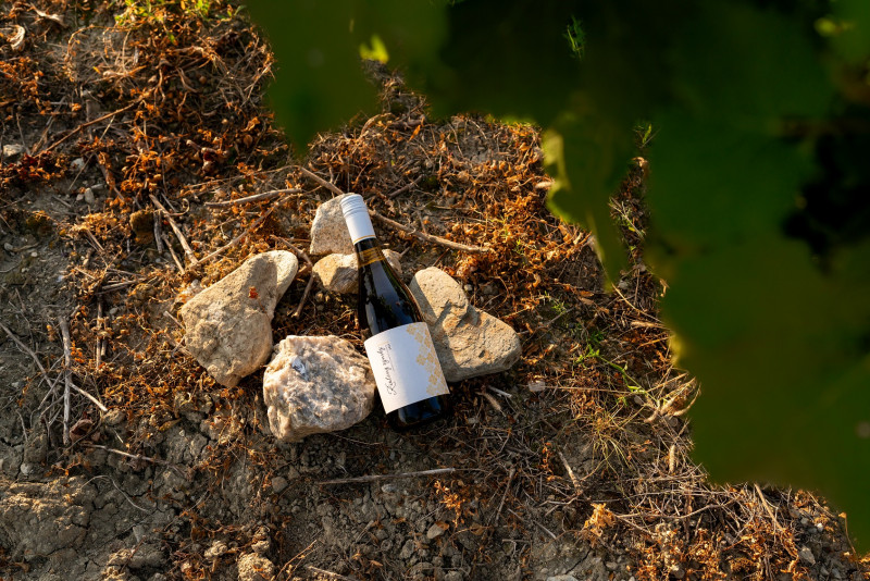 Ocenenia vín sú naša referencia