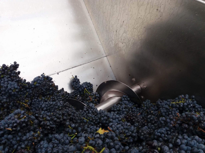 Course for sommeliers - enology module 2023